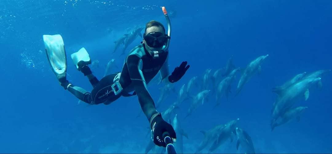 Delfinhaus Tour Hurghada