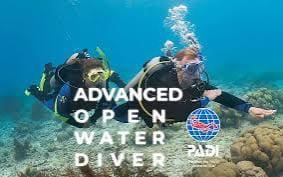 PADI Tauchschein