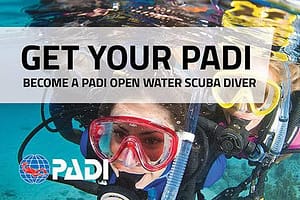 PADI Scuba Diver Hurghada