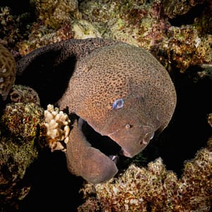 WhatsApp Image 2025 05 27 At 7.27.58 PM (1)