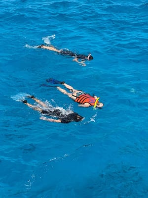 WhatsApp Image 2025 05 27 At 7.35.43 PM (2)