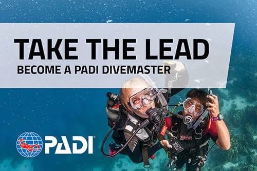 WhatsApp Image 2025 06 01 At 8.44.02 AM (1)