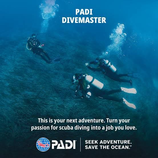 WhatsApp Image 2025 06 01 At 8.44.02 AM