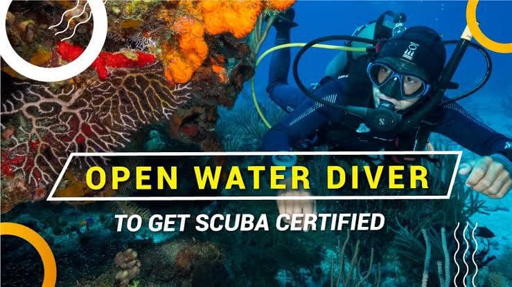 PADI Open Water Diver Hurghada