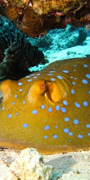 WhatsApp Image 2025 05 27 At 7.27.57 PM (1)