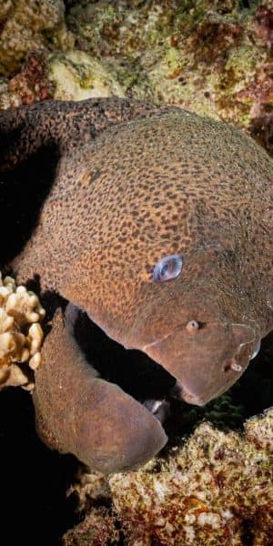 WhatsApp Image 2025 05 27 At 7.27.58 PM (1)