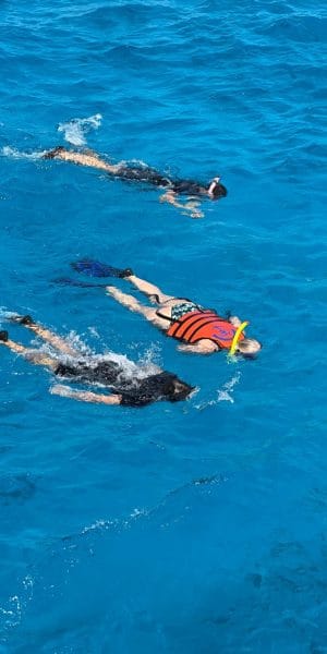 WhatsApp Image 2025 05 27 At 7.35.43 PM (2)